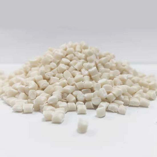 Compostable Plastics S1-01